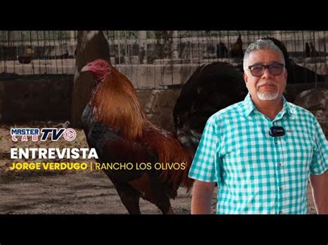 Entrevista Jorge Verdugo YouTube