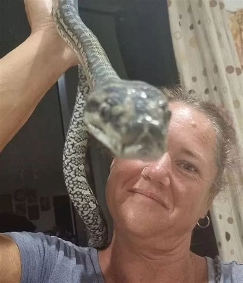 Caravan Belongs To Snake Now After Massive Python Slithers Up Campers