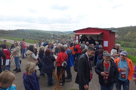 Laudenbacher Weinerlebniswanderung Weinort Laudenbach