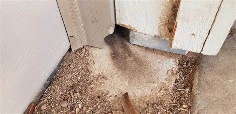 Rodent Rub Marks Arizona Pest Control Pest Management Services