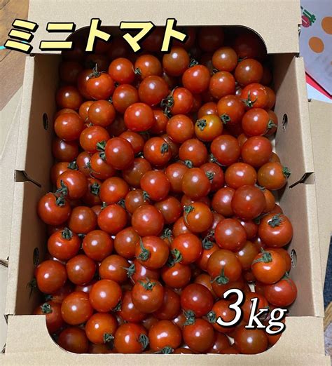 ミニトマト 3kg｜paypayフリマ