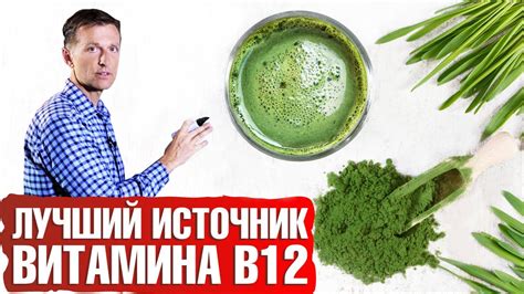 Лучший источник витамина В12 💊 для веганов - YouTube