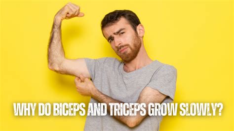 Why Do Biceps And Triceps Grow Slowly Factors To Consider