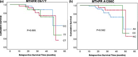 The Influence Of Mthfr Genetic Polymorphisms On Methotrexate Therapy In