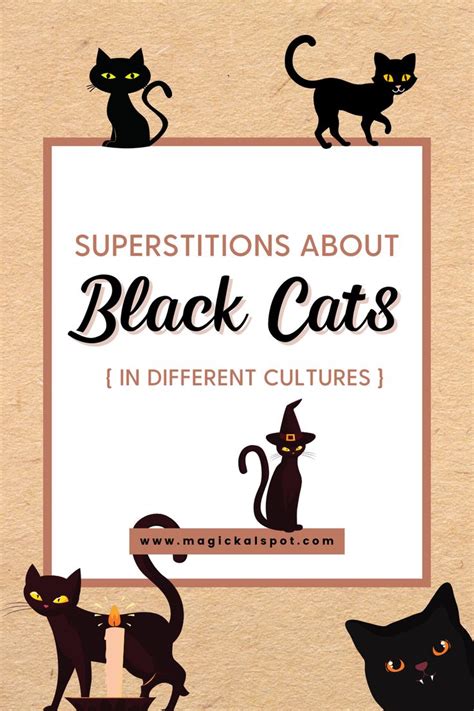 Superstitions About Black Cats [in Different Cultures] | Superstition ...