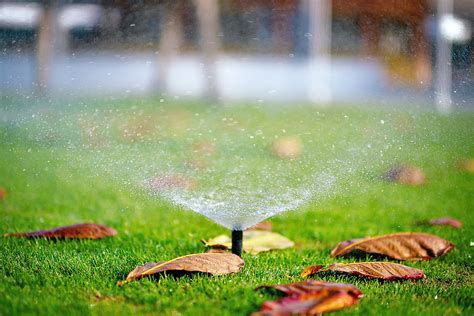 How To Fix These Common Irrigation Problems In Your Garden