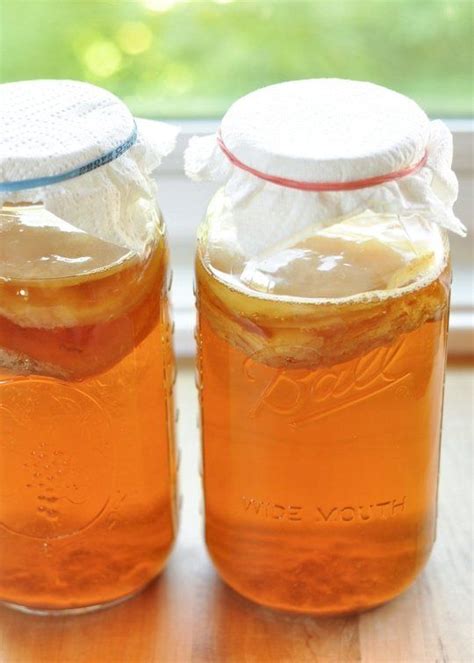 Cómo Hacer Kombucha Maripo