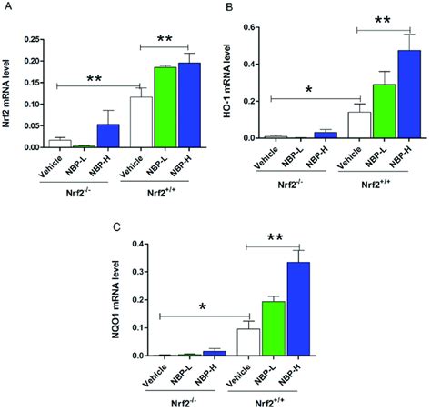 Effects Of Nbp On Nrf2 Ho 1 And Nqo1 Mrna Levels A B And C