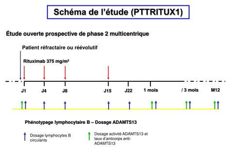 PPT Pour le Centre de Référence des Microangiopathies thrombotiques