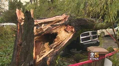 Team Coverage Fallen Trees Flooding As Storm Hits Bay Area YouTube