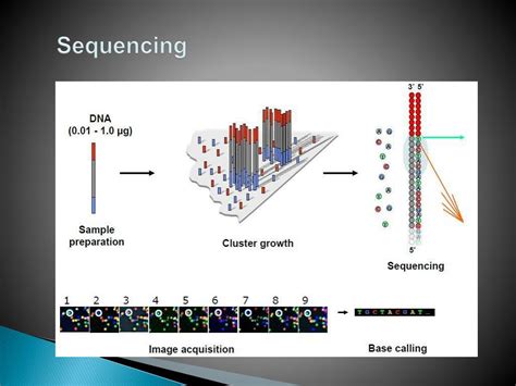 Ppt Next Generation Sequencing Powerpoint Presentation Free Download