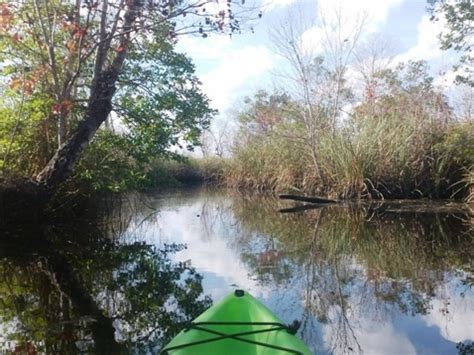 Salt Springs Run Paddling, Ocala National Forest. E-Z Map, Photos.