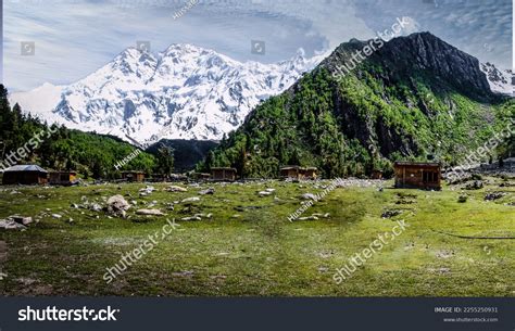 Fascinating View Nanga Parbat Fairy Meadows Stock Photo 2255250931 ...