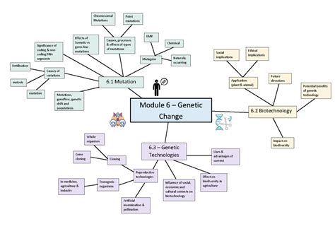 Module Mind Map Mindmap Mutagens Chromosomal Mutations Point