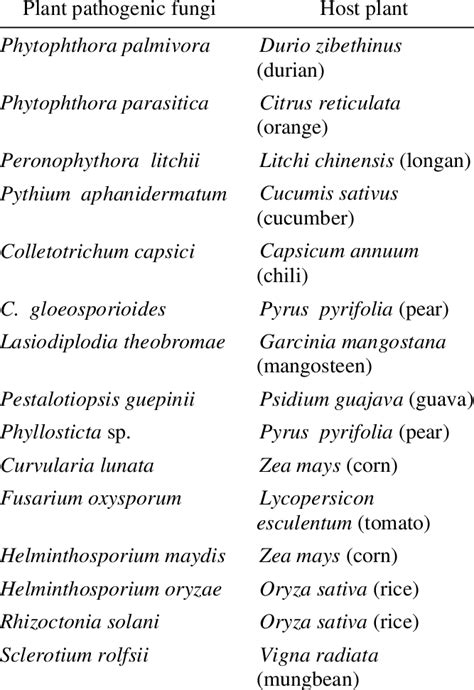 Species Of Plant Pathogenic Fungi From Various Diseased Fruits And Download Scientific Diagram