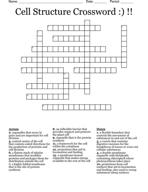 Cell Parts Crossword WordMint