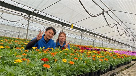 トゥクトゥクに乗った花農家！ 生産者の顔がわかる花苗づくりに奔走｜マイナビ農業