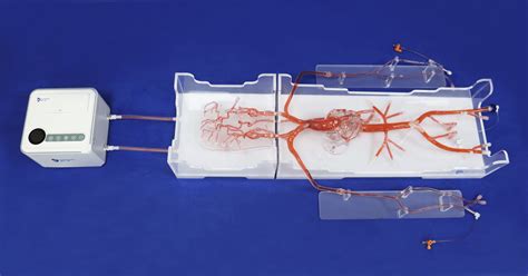 Modelo Vascular De Angiograf A Qs D Trando D Medical