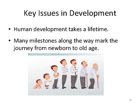 Lifespan Development Chapter 1 An Introduction To Lifespan