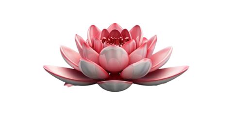 Elegant Lotus Flower Isolated Lotus Flower Elegant Isolated Png