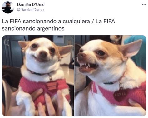 Los Mejores Memes Del Fallo Contra La Selección Argentina Por El