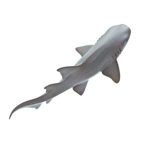 Nurse Shark Toy | Sea Life | Safari Ltd®