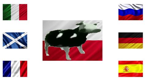 Polish Cow In Different Languages Youtube