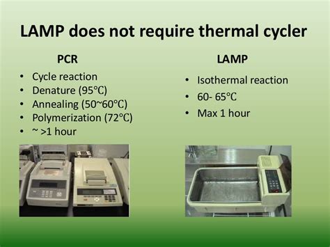 Lamp Loop Mediated Isothermal Amplification