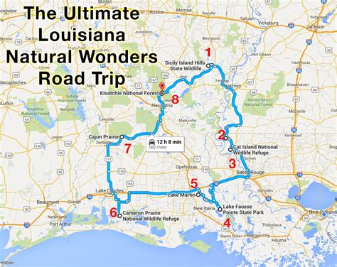 The Ultimate Louisiana Natural Wonders Road Trip