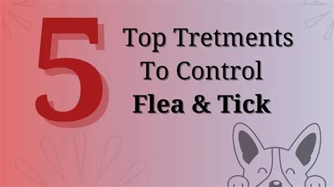 Ppt 5 Top Treatments To Control Fleas And Ticks Powerpoint