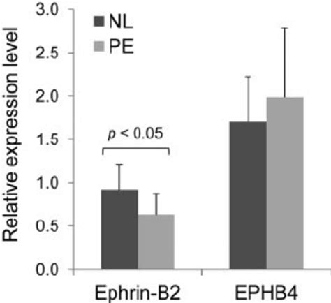 Ephrin B2 And Ephb4 Mrna Expressions In Preeclamptic And Normal Nl Download Scientific