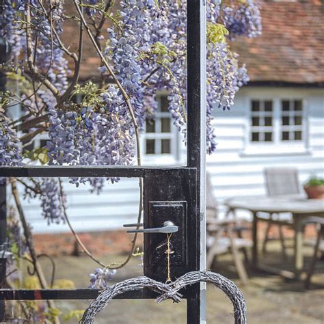 How Well Does Wisteria Grow In Pots Try This And Boost Your Property