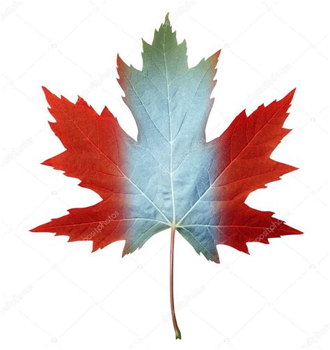 Canada Maple Leaf — Stock Photo © lightsource #12204265