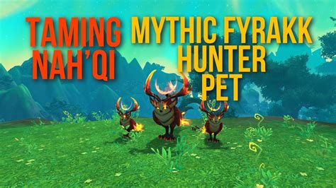 Nah Qi The Spirit Owl Hunter Pet Tame Only From Mythic Fyrakk Youtube