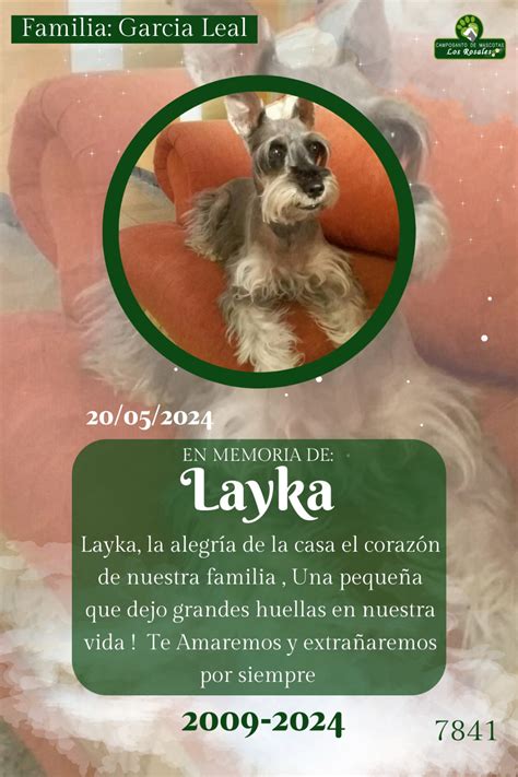 Layka Camposanto De Mascotas Los Rosales