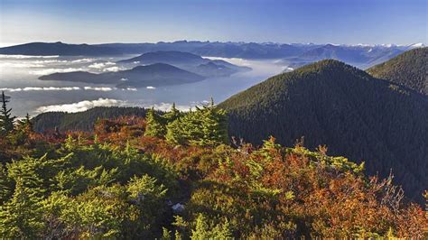 21 Best Vancouver Hikes - A Vancouver Hiking Guide