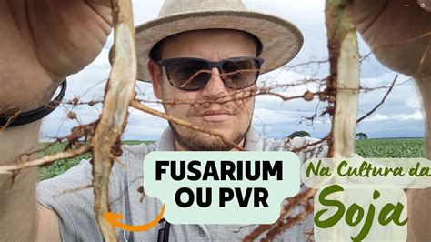 FUSARIUM Fusariose Morte Súbita Podridão Vermelha da Raiz PVR