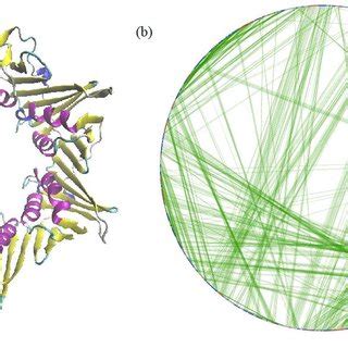 The three dimensional structure of a transmembrane protein (pdb code ...