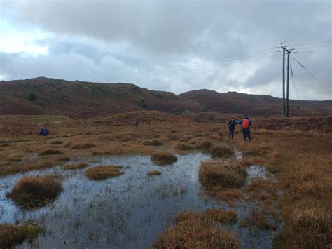 Blawith Common Bryophyte Trip Report 14 November 2023 Cumbria Lichens