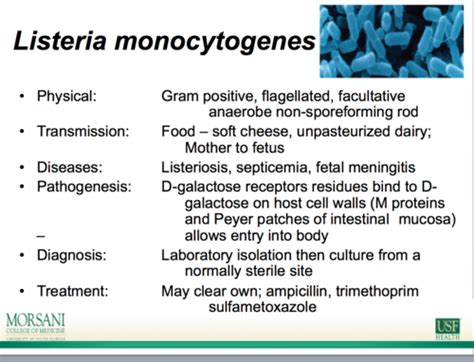 Listeria Corynebacterium C Perfringens Flashcards Quizlet