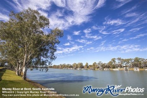 Murray River at Berri, South Australia