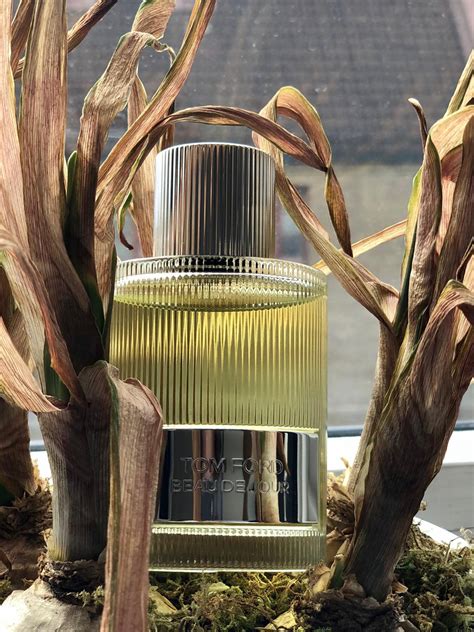 Beau De Jour Eau de Parfum Tom Ford Cologne - ein es Parfum für Männer 2020