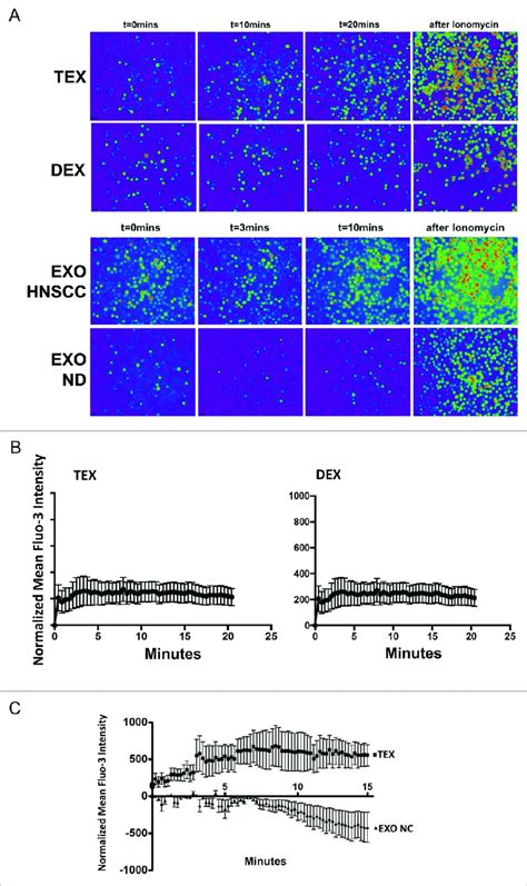 Ca 2c Flux In Human T Cells Co Incubated With Tex Dex Or Exo In A Download Scientific