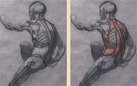 Human figure drawing for beginners - irishnasve