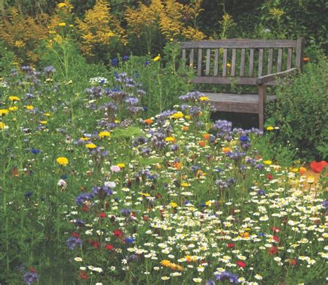 Meadow Garden Wildflower Garden Dream Garden Cottage Garden