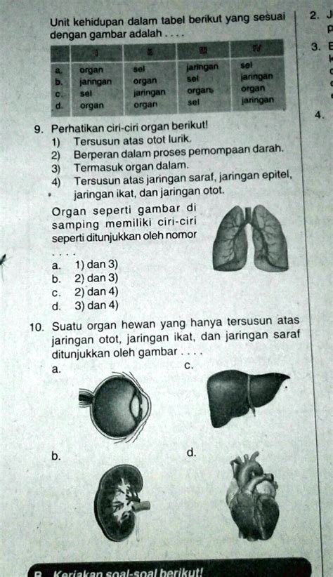 SOLVED Jawablah Gambar Diatas Ini Unit Kehidupan Dalam Tabel Berikut