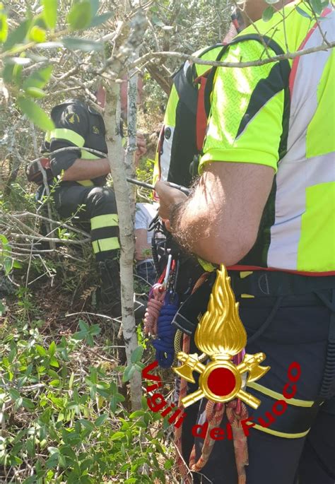 Sardegna Ritrovato Vivo Luomo Scomparso Nei Giorni Scorsi Locanda