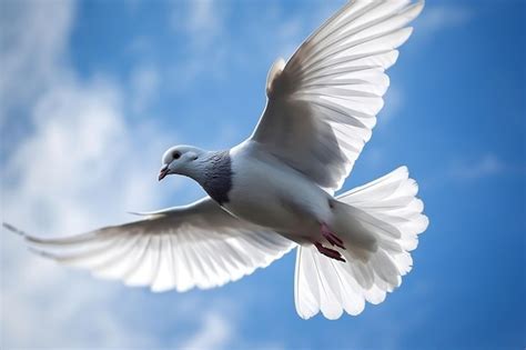 Premium Ai Image Beautiful Pigeon Flying In The Sky