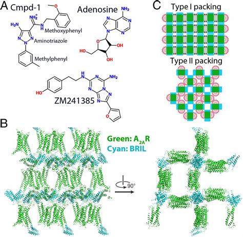 Crystal Structure Of The Adenosine A2a Receptor Bound To An Antagonist