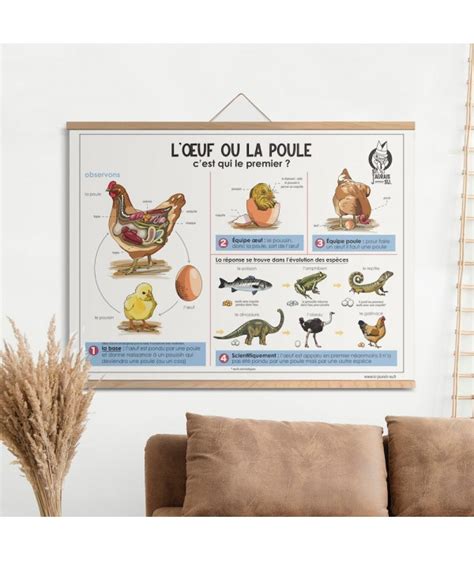 Affiche Oeuf Ou La Poule Si J Aurais Su